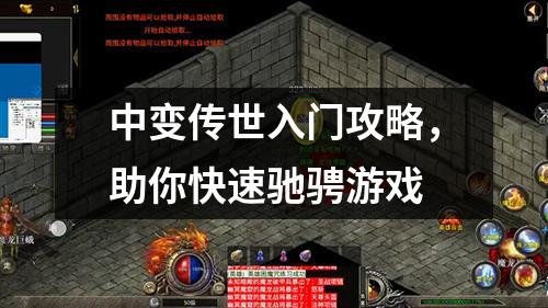 中变传世入门攻略,助你快速驰骋游戏