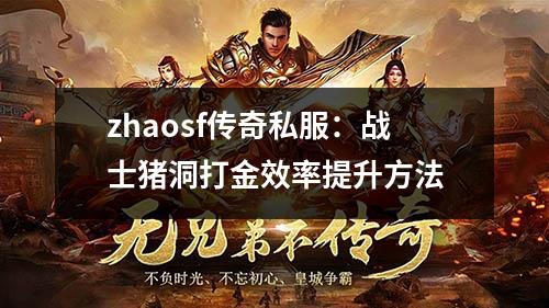 zhaosf传奇私服:战士猪洞打金效率提升方法 zhaosf传奇私服:战士猪洞打金效率提升方法