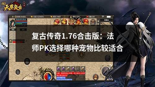 复古传奇1.76合击版:法师PK选择哪种宠物比较适合
