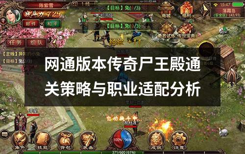 网通版本传奇尸王殿通关策略与职业适配分析 网通版本传奇尸王殿通关策略与职业适配分析